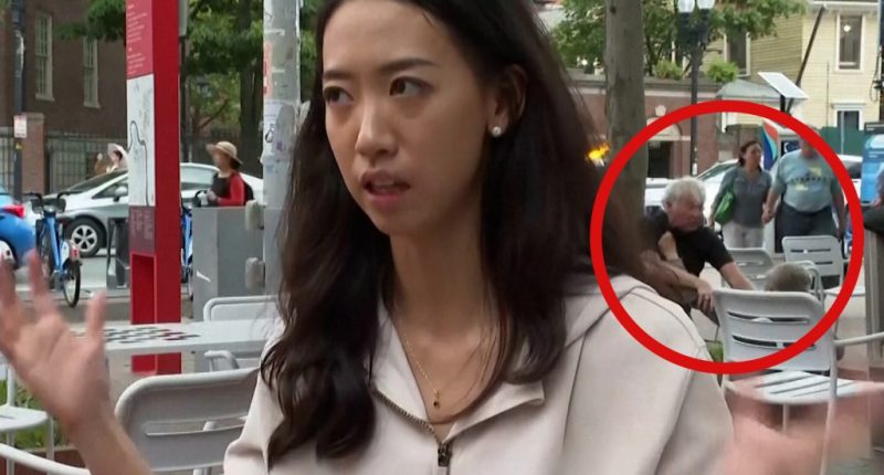 Oblivious Harvard student preaches unity â as BRAWL breaks out behind her (Video)